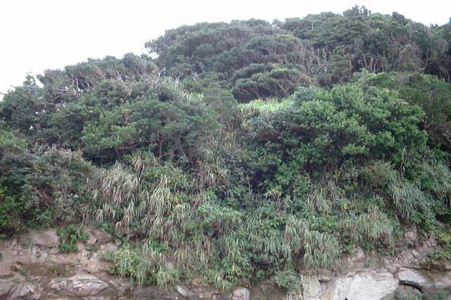 DSCF0029
