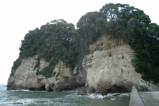 DSCF0030
