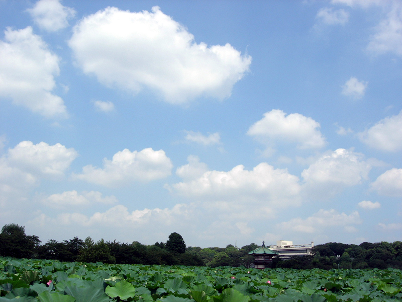 Dscn0495
