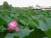 Dscn0497